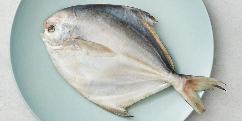 전래동화에서 나오는 물고기들 생김새 이유.ssul_7.webp