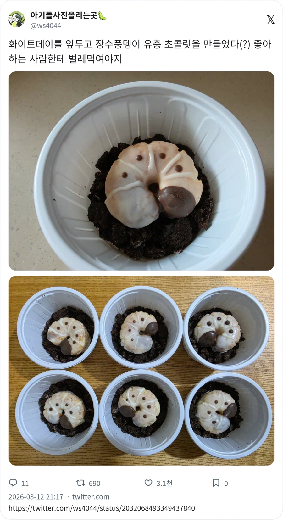 장수풍뎅이 유충 초콜릿_1.webp