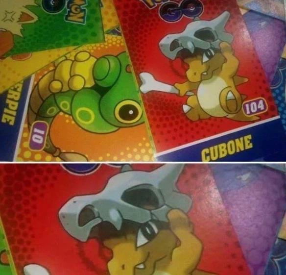 어미가 죽은 탕구리의 정체_1.webp