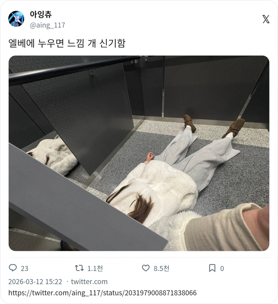 엘리베이터에서 누워보기_1.webp