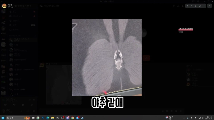 몬가가 몬가인 평범한 꼬리뼈 사진_11.webp