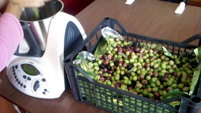 의외로 이탈리아에서도 존맛의 상징인 것.jpg_1.webp