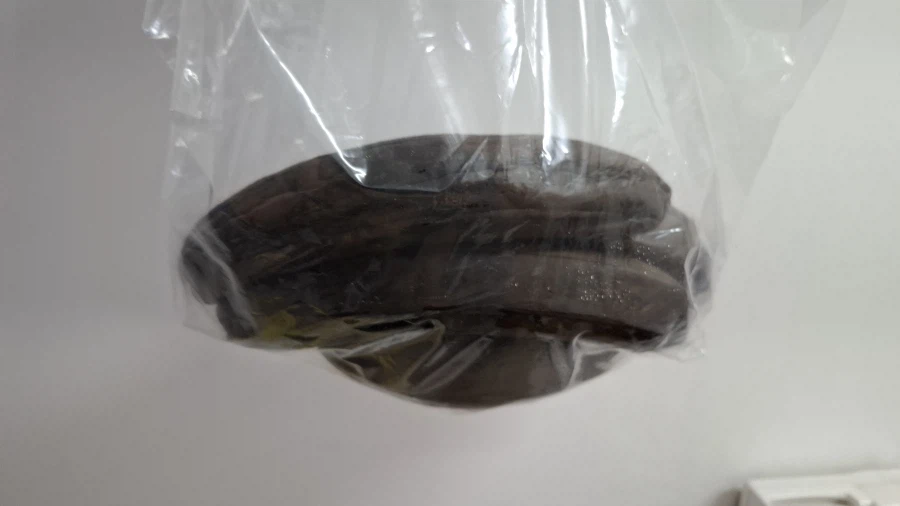 흑인 대물 자지 서리해왔다 ㅋㅋㅋ_1.webp