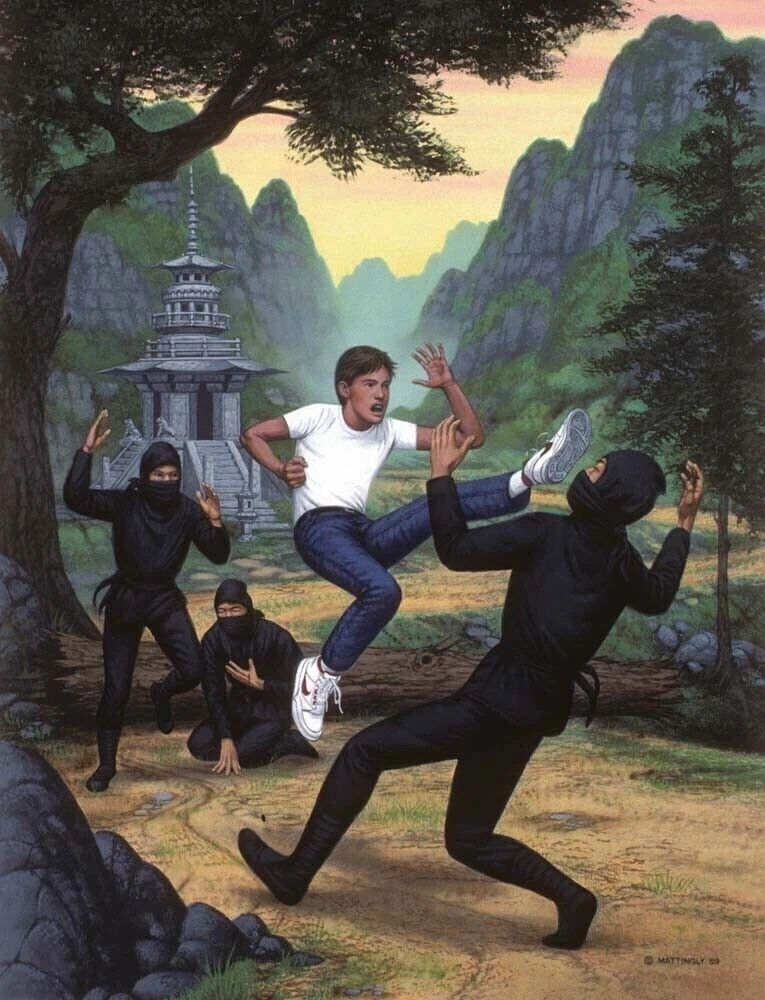 태권도를 배운 미국인이 경주 다보탑 앞에서 닌자들을 폭행하는 짤_2.webp