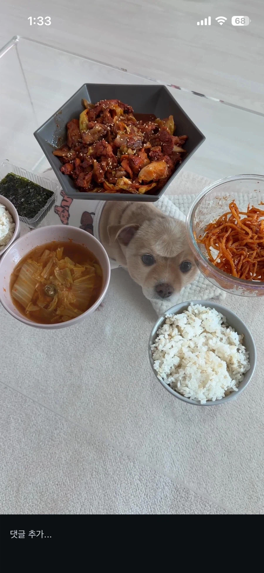 이마에 이상한 자국이 있는 개_3.webp