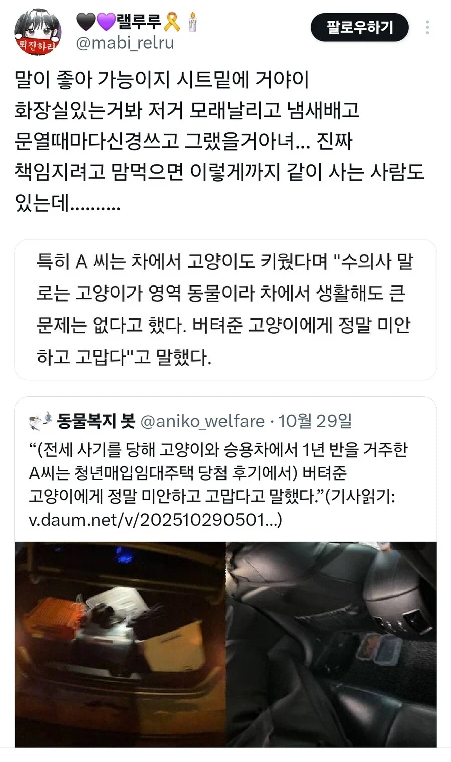 전세사기당해서 고양이랑 차에서 1년반 지낸 사람.jpg_2.webp