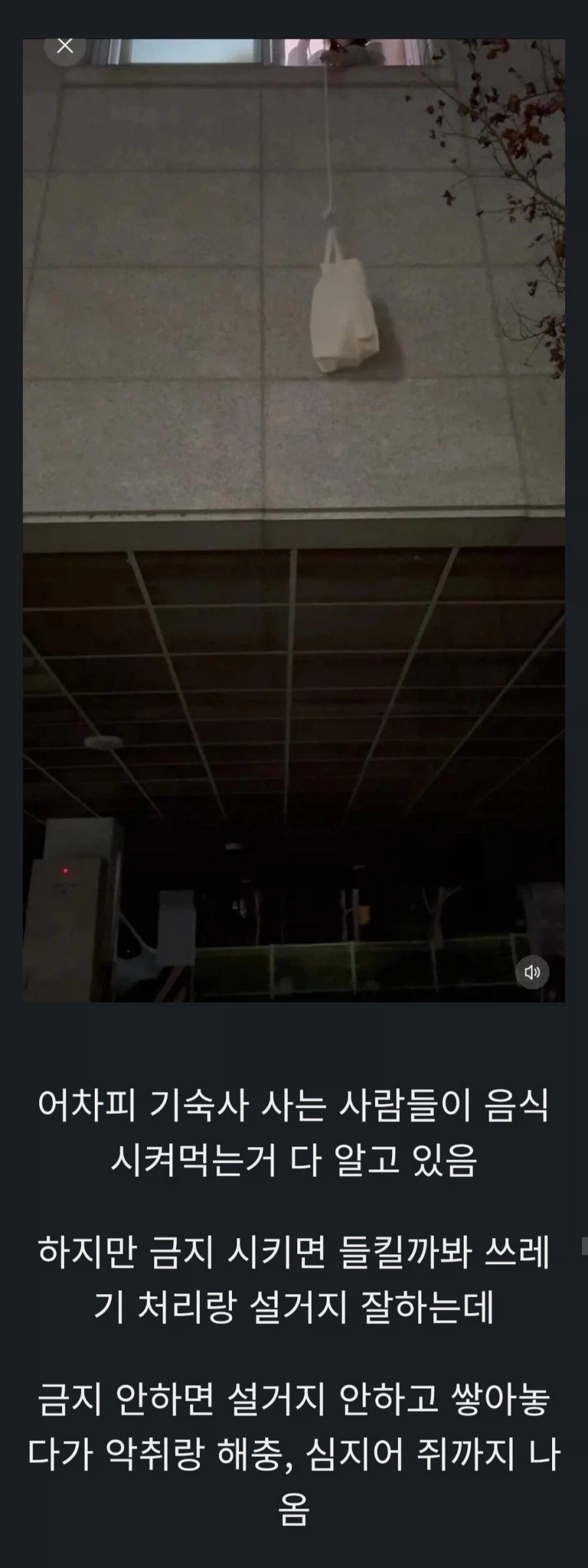 기숙사에서 음식 먹는거 금지하는 이유_1.webp