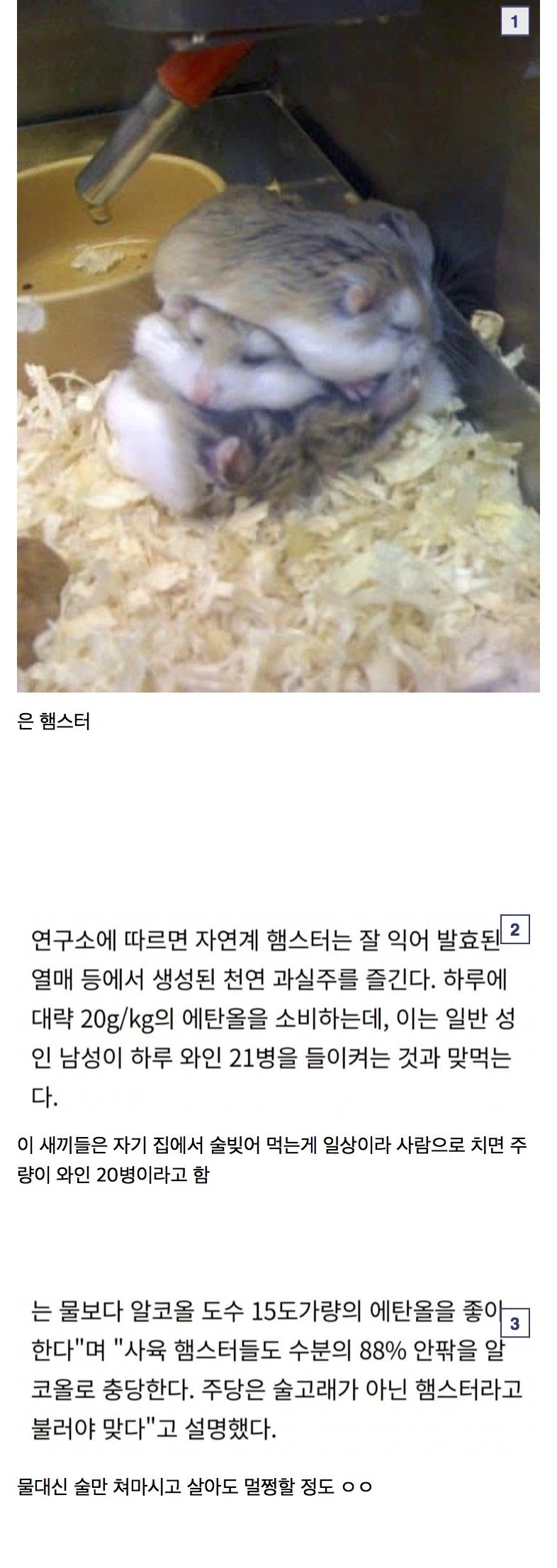 하루 와인 20병은 까먹는 꼴인거_1.webp