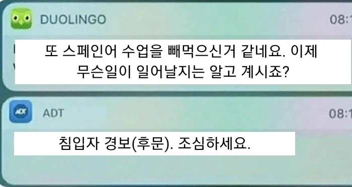 초로삐! 넌 여기 오기전에 무슨 일했어?_2.webp