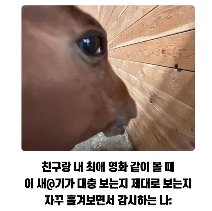 친구랑 내 최애영화 같이 볼 때...jpg_1.webp