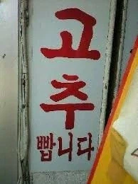 호모는 아닌데 게이는 아닌데 특 .jpg_4.webp