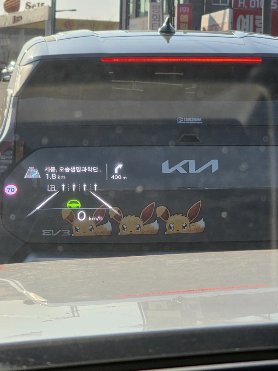 도로에 나타난 이브이_1.webp