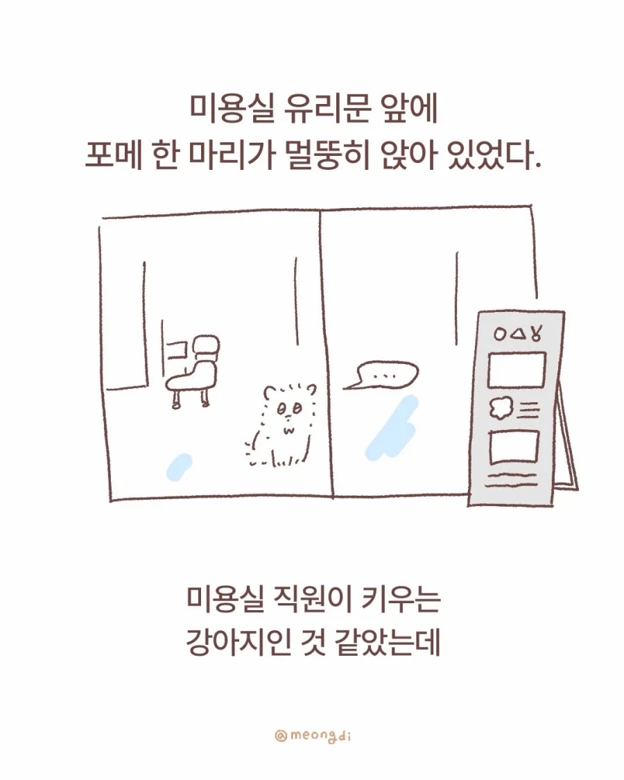 애기랑 강아지_3.webp