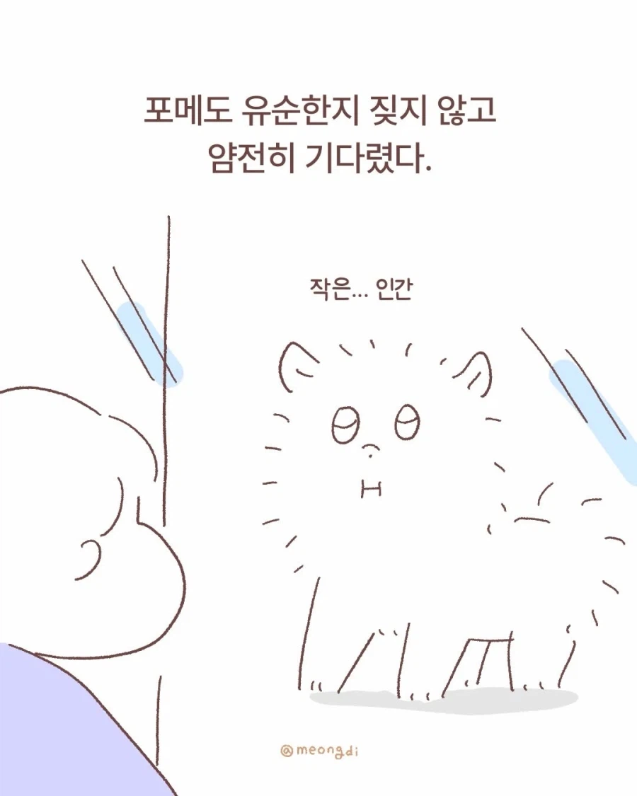 애기랑 강아지_5.webp