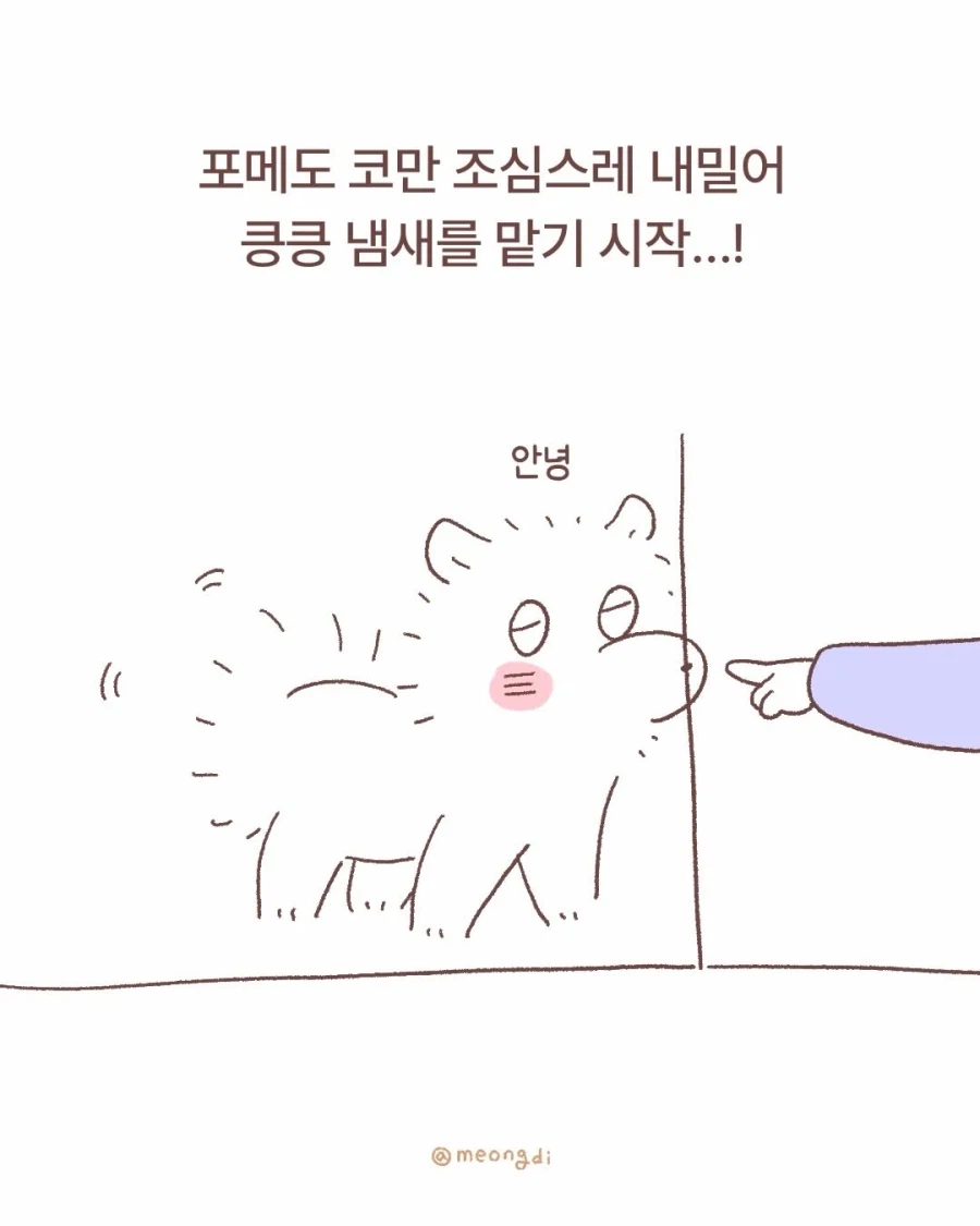 애기랑 강아지_8.webp