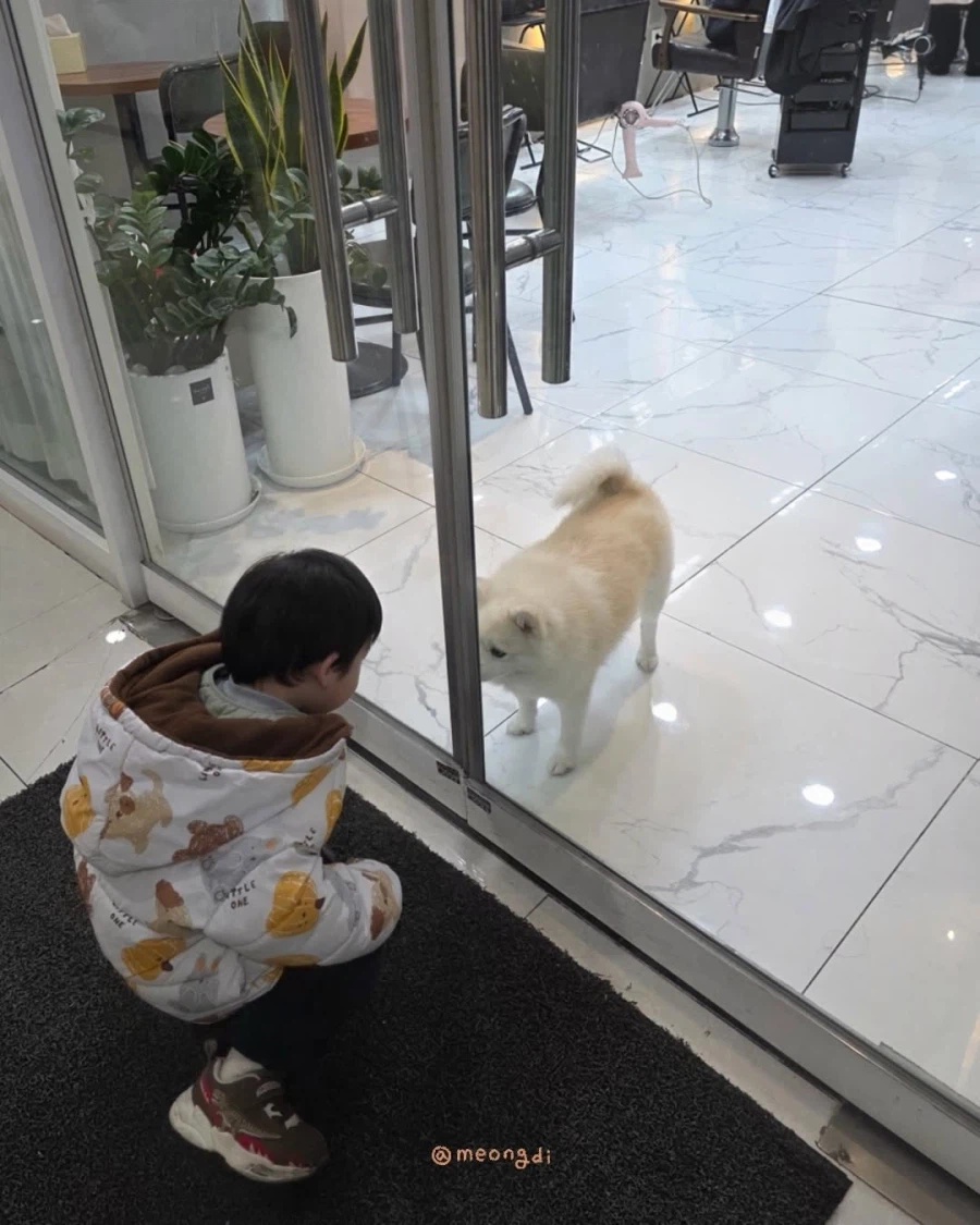 애기랑 강아지_10.webp