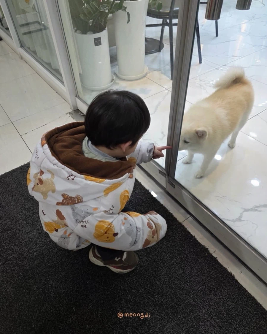 애기랑 강아지_11.webp