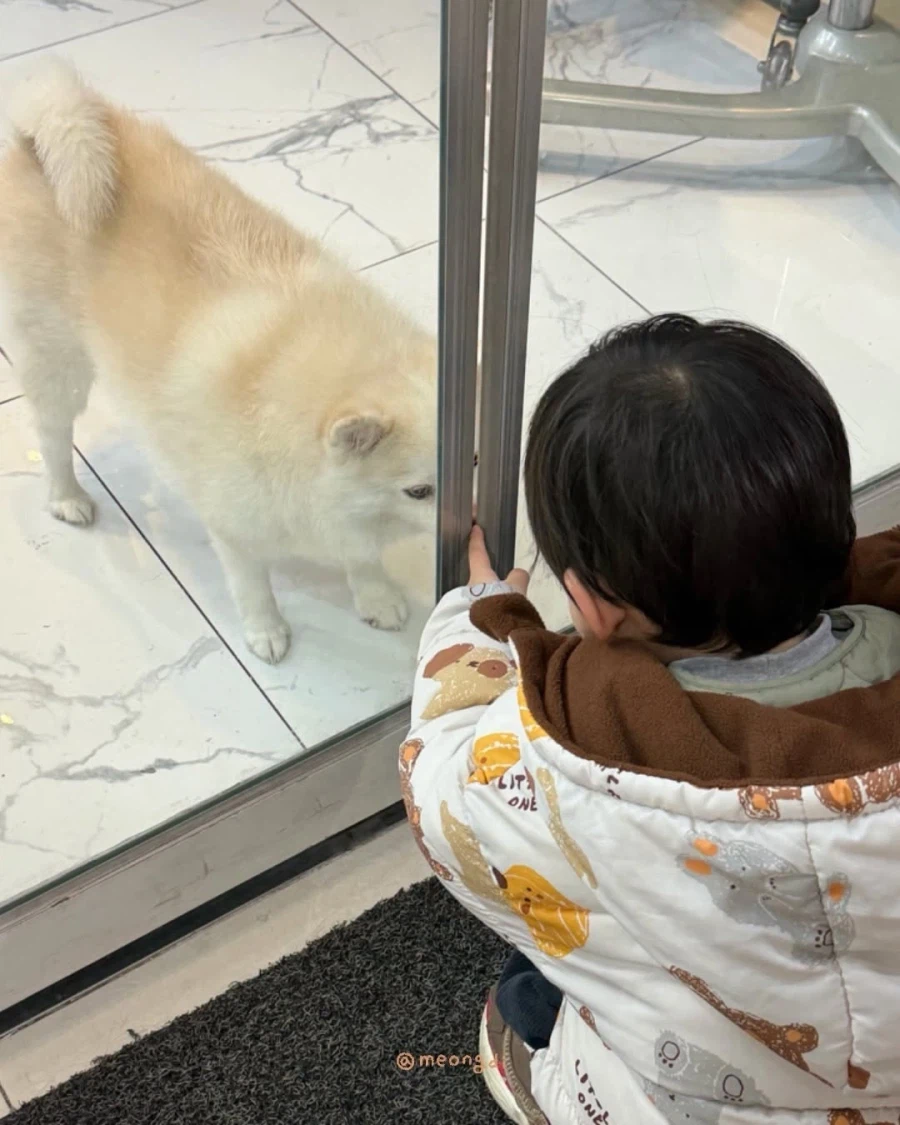 애기랑 강아지_12.webp