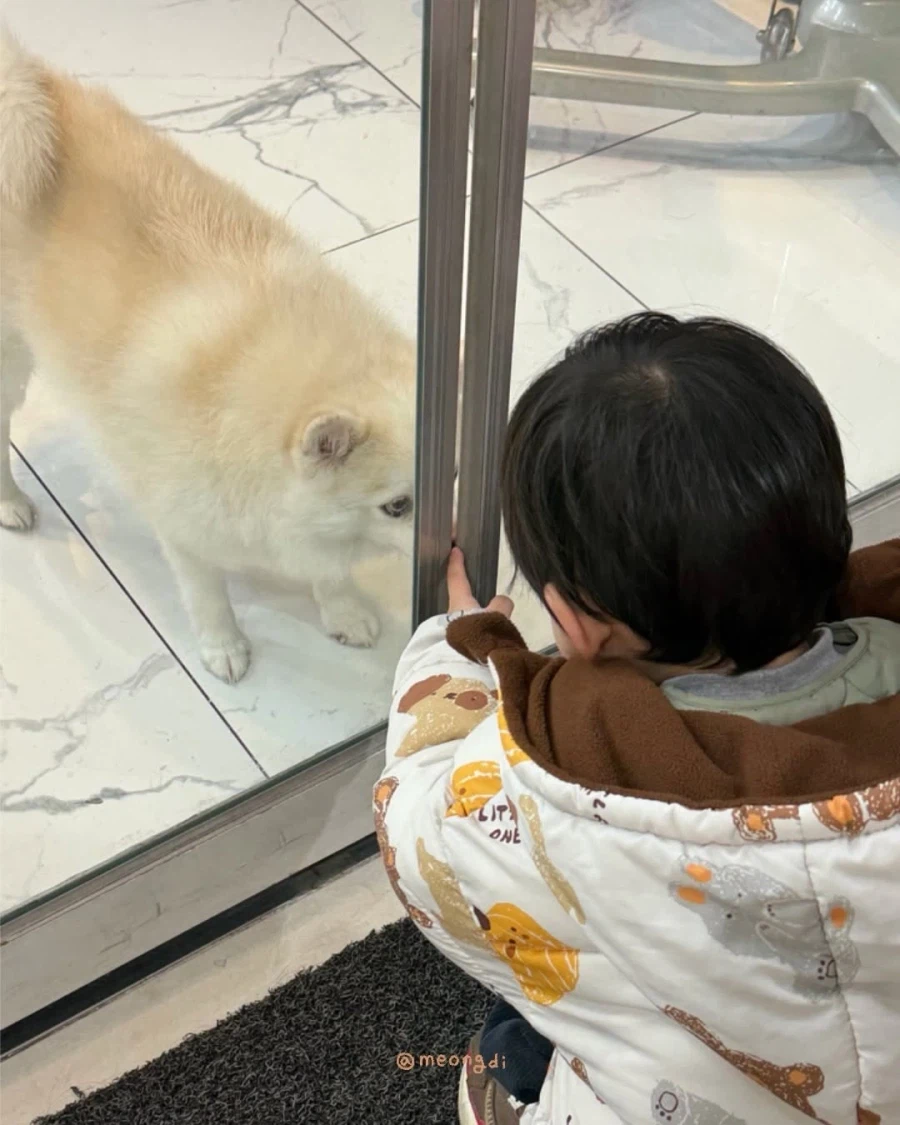 애기랑 강아지_13.webp