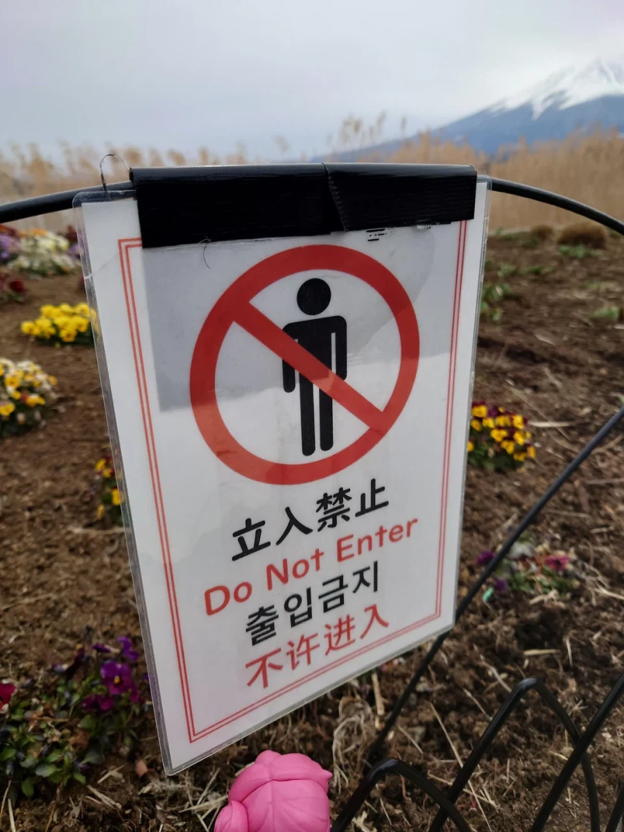 무법 도로롱_1.webp