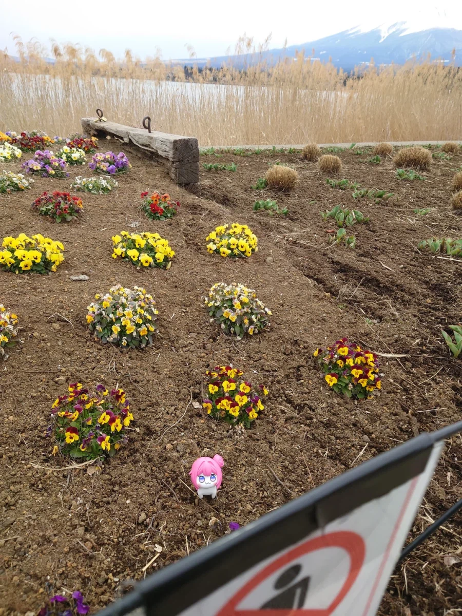 무법 도로롱_2.webp