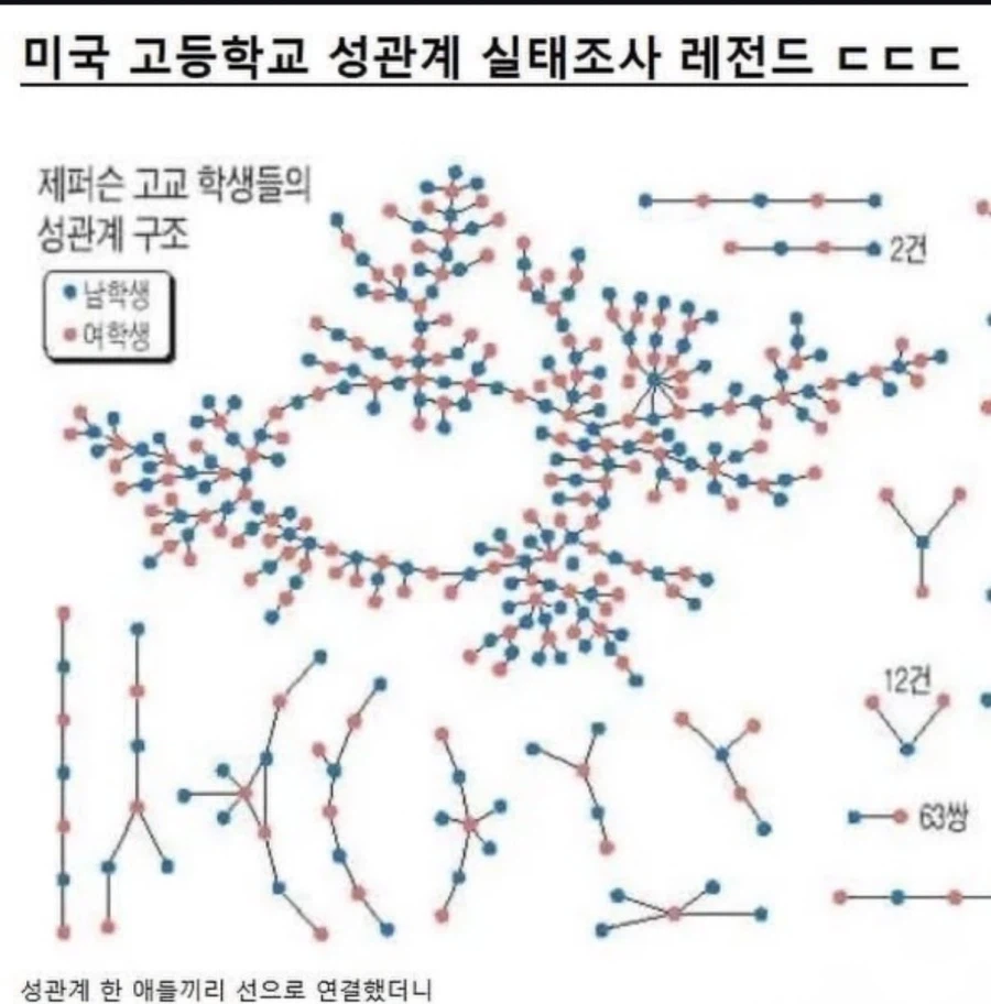 미국 고등학교 성관계 실태조사_1.webp