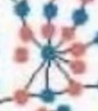 미국 고등학교 성관계 실태조사_2.webp