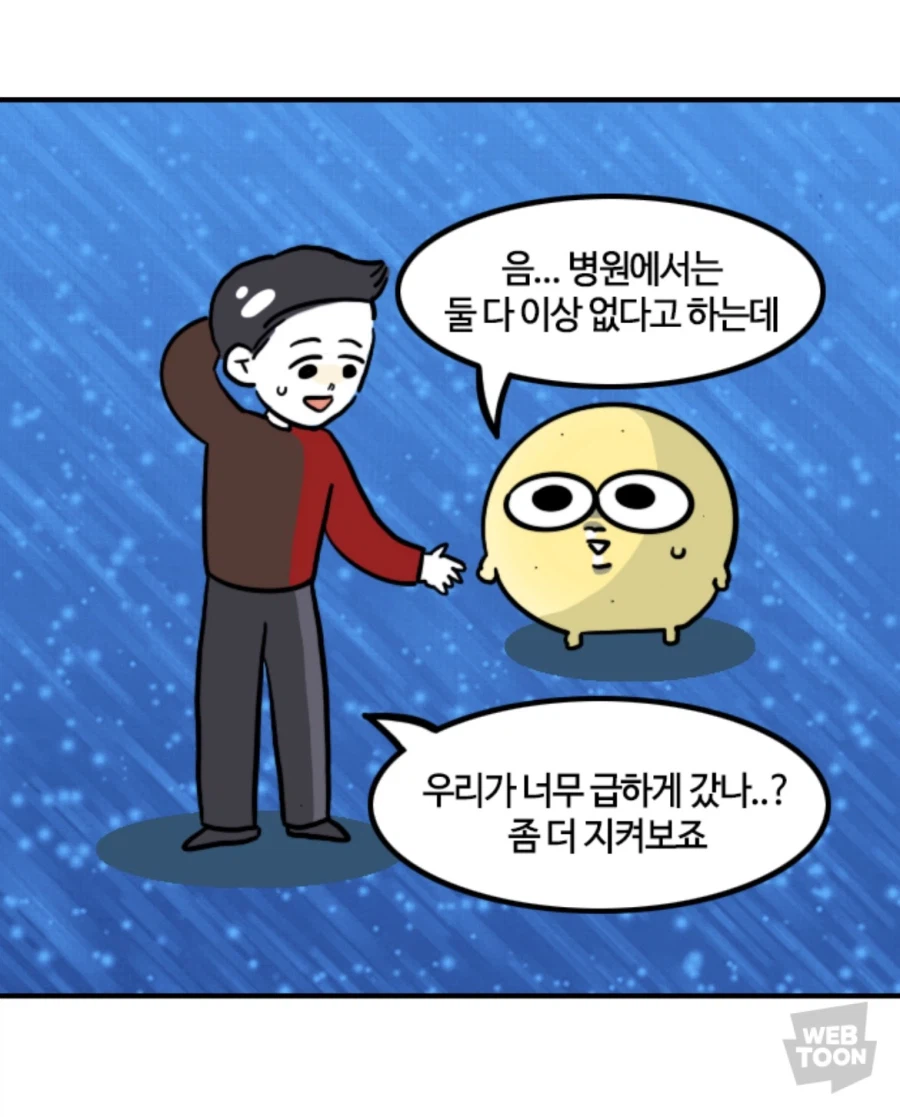 노산관련 불편해 하는 사람들이 있는 이유_5.webp