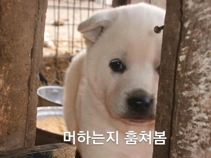 pc방 옆자리 특 jpg_1.webp