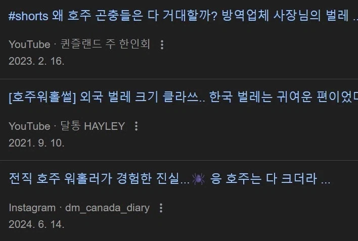 호주 워홀 간 여자들 특_1.webp