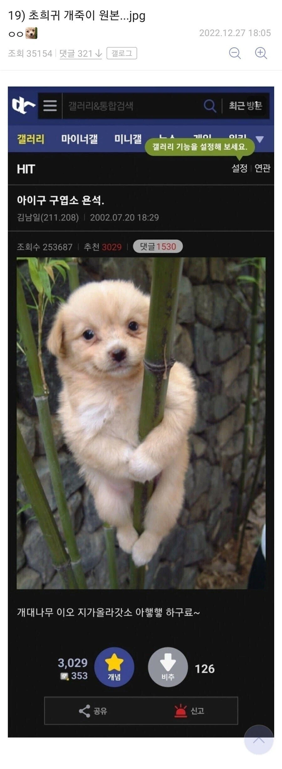 초희귀 개죽이 원본.jpg_1.webp