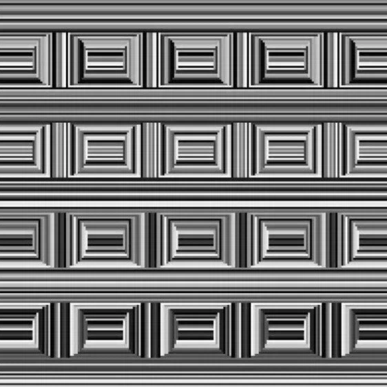 신기한 착시의 세계_1.webp