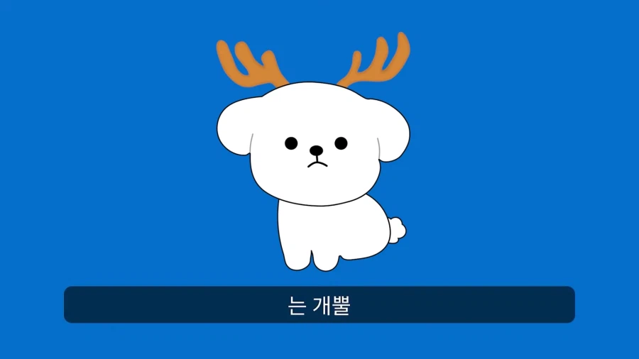 WBC] 도어강..(도미니카 공화국은 어떻게 강팀이 되었나)_3.webp