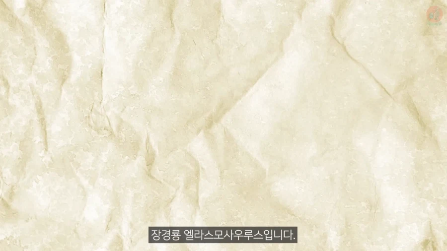 고생물학에서 선입견이 안좋은 이유_1.webp