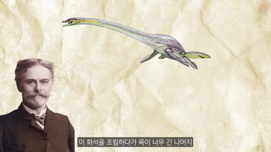 고생물학에서 선입견이 안좋은 이유_3.webp