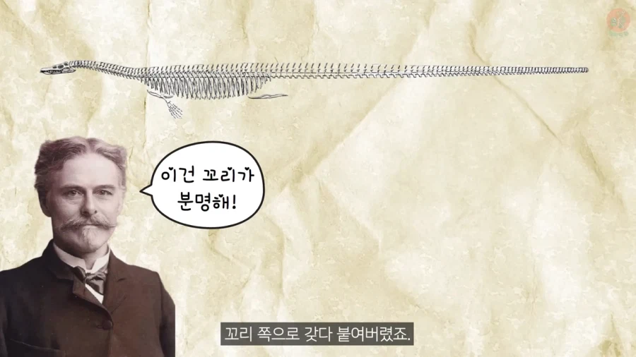 고생물학에서 선입견이 안좋은 이유_6.webp