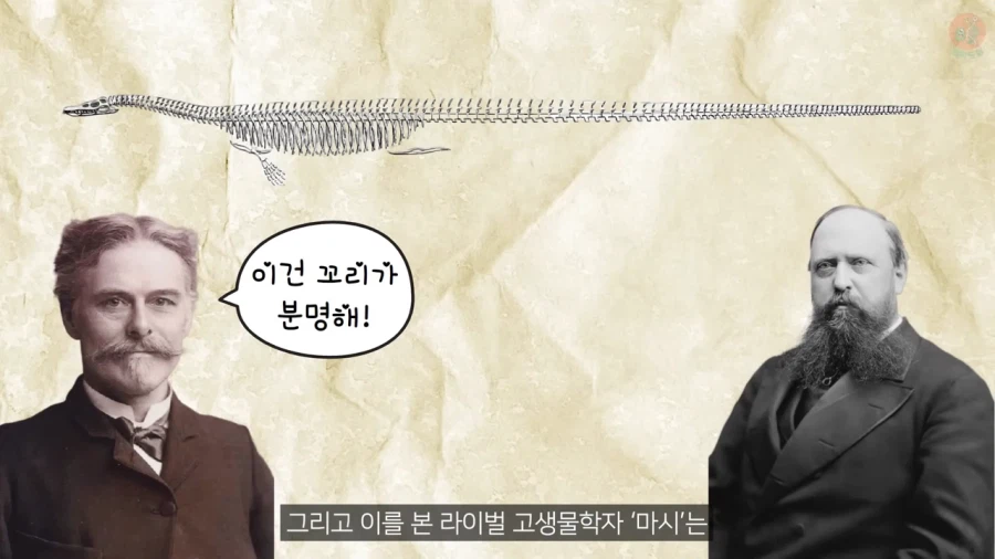 고생물학에서 선입견이 안좋은 이유_7.webp