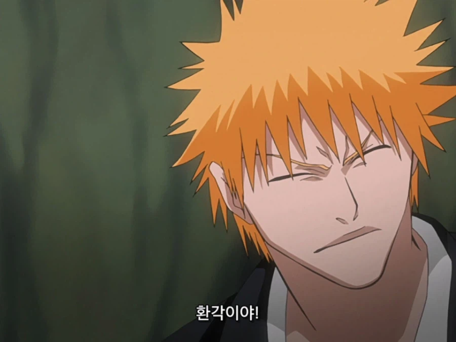 블리치 밈 『미안하군 나라서』 롱버전을 감상하자_3.webp