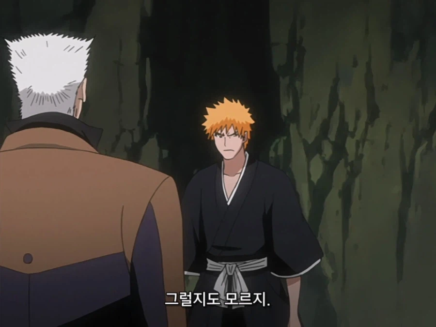 블리치 밈 『미안하군 나라서』 롱버전을 감상하자_4.webp