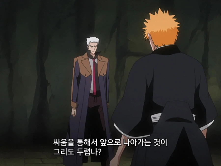 블리치 밈 『미안하군 나라서』 롱버전을 감상하자_6.webp