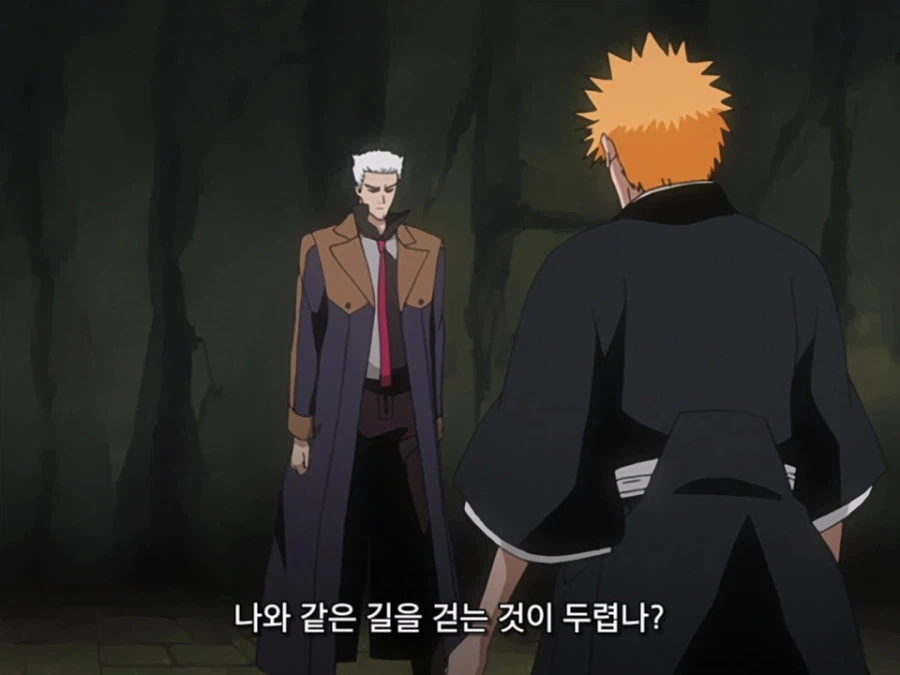 블리치 밈 『미안하군 나라서』 롱버전을 감상하자_7.webp