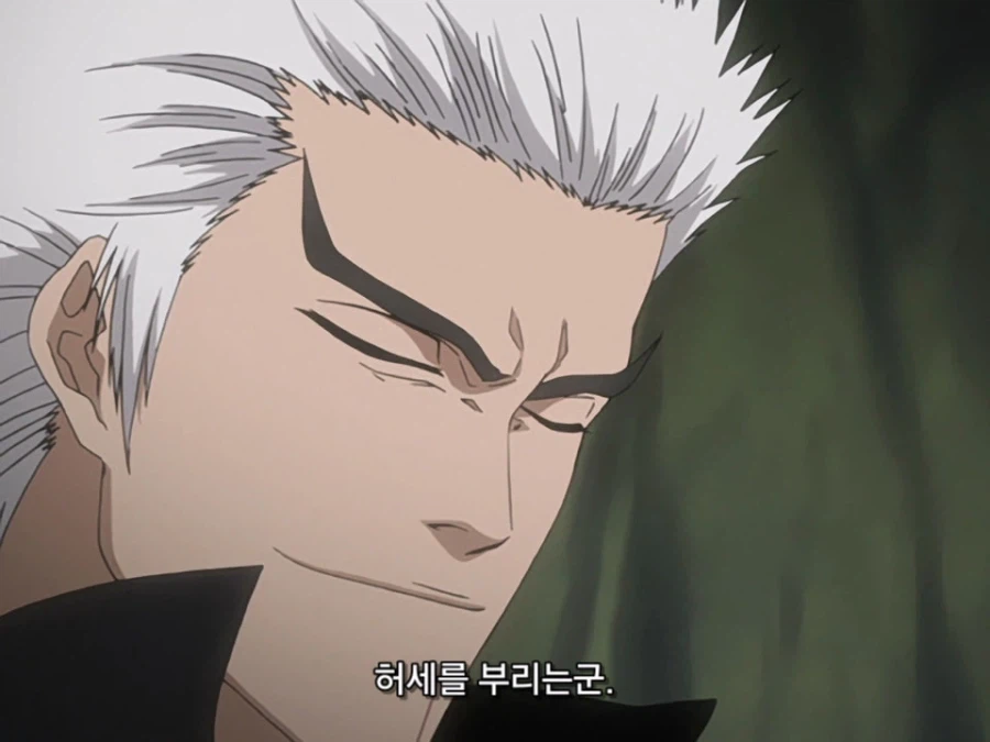 블리치 밈 『미안하군 나라서』 롱버전을 감상하자_9.webp