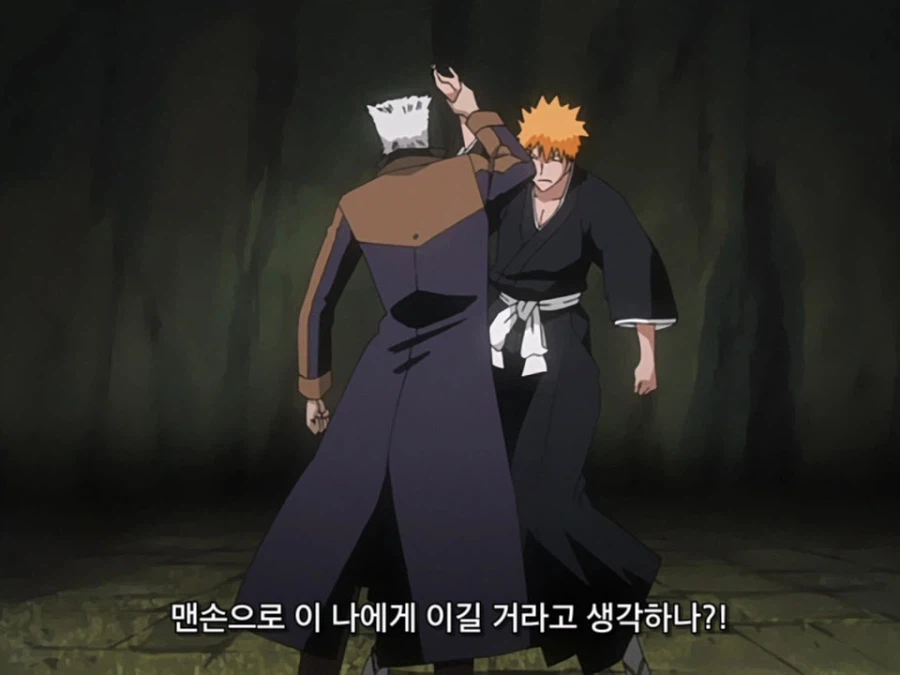 블리치 밈 『미안하군 나라서』 롱버전을 감상하자_10.webp