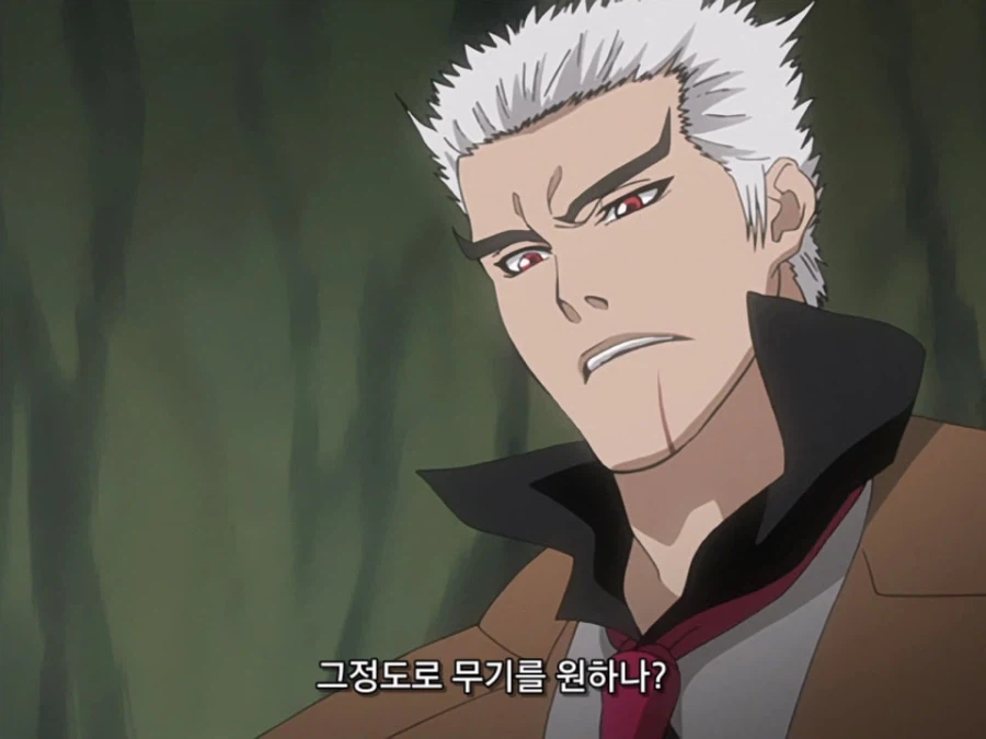 블리치 밈 『미안하군 나라서』 롱버전을 감상하자_11.webp