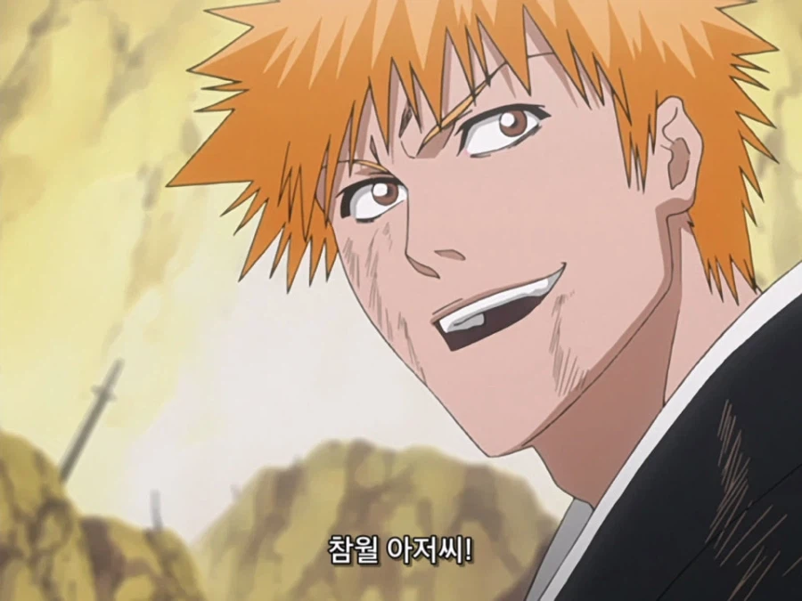 블리치 밈 『미안하군 나라서』 롱버전을 감상하자_13.webp