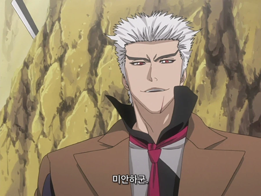 블리치 밈 『미안하군 나라서』 롱버전을 감상하자_14.webp