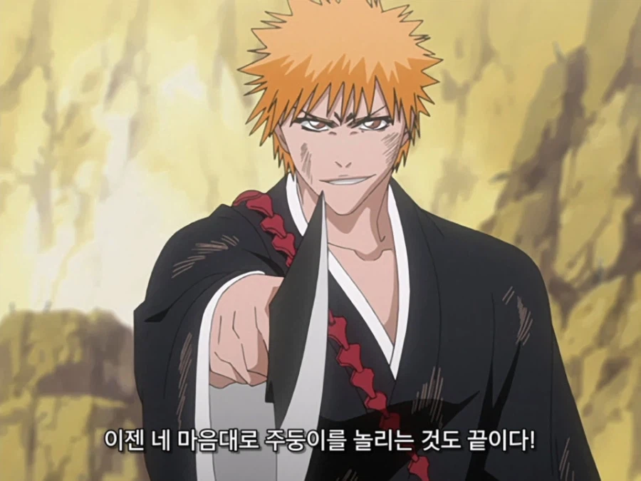 블리치 밈 『미안하군 나라서』 롱버전을 감상하자_20.webp