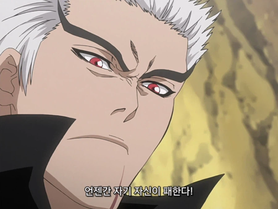 블리치 밈 『미안하군 나라서』 롱버전을 감상하자_29.webp