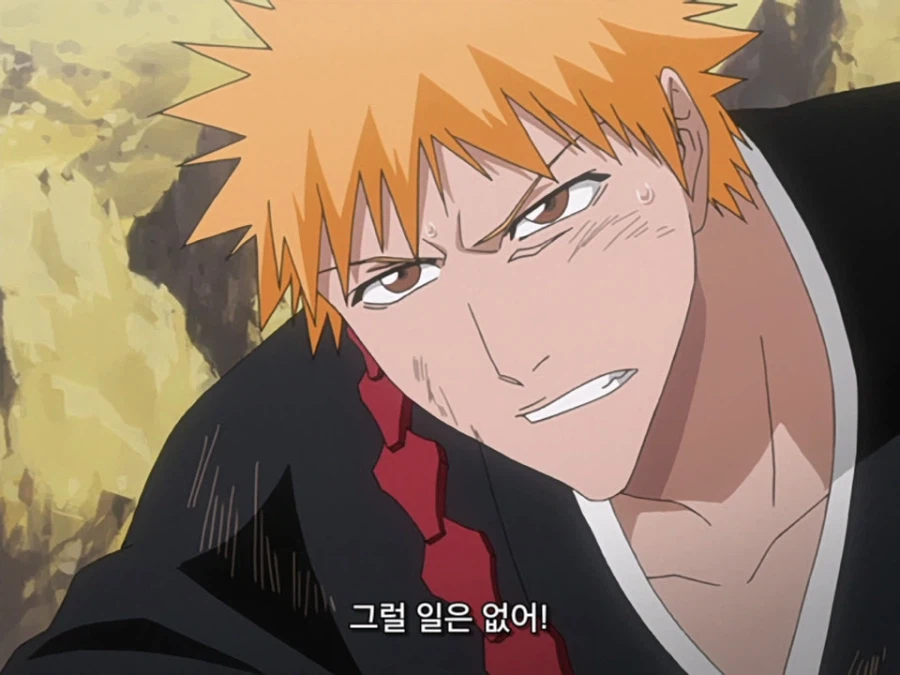 블리치 밈 『미안하군 나라서』 롱버전을 감상하자_33.webp