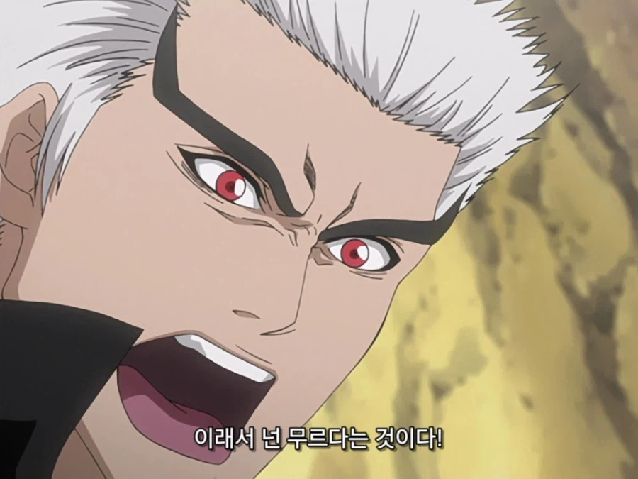 블리치 밈 『미안하군 나라서』 롱버전을 감상하자_34.webp